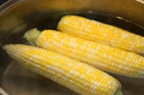 как правильно выбрать кукурузу в початках