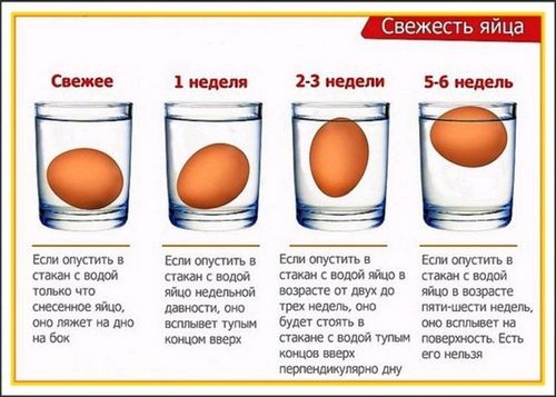 интересные факты о курином яйце