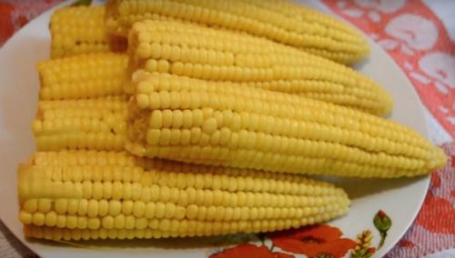 как варить кукурузу в кожуре