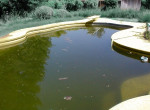 Коагулянты для очистки воды в бассейне как выбрать лучшее средство