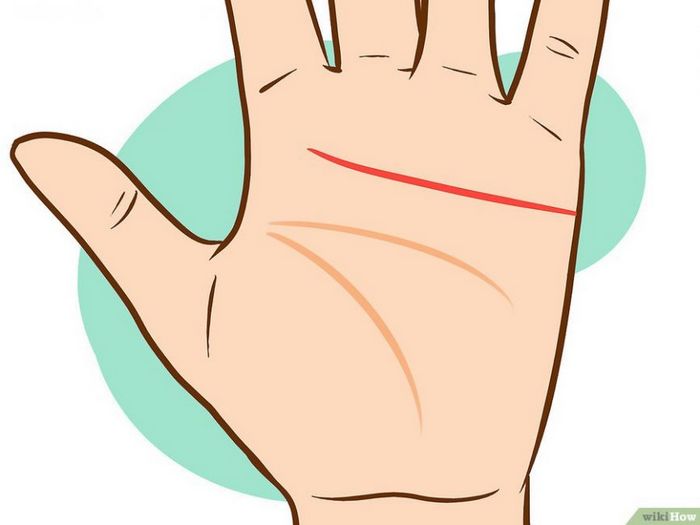 Значение линий на ладони правой и левой руки для женщин и мужчин. Хиромантия в картинках доступным