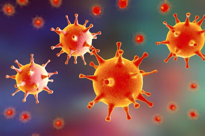 Вирус герпеса — его опасность для мужчин и женщин
