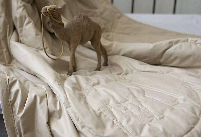 Можно ли стирать одеяло из верблюжьей шерсти и как