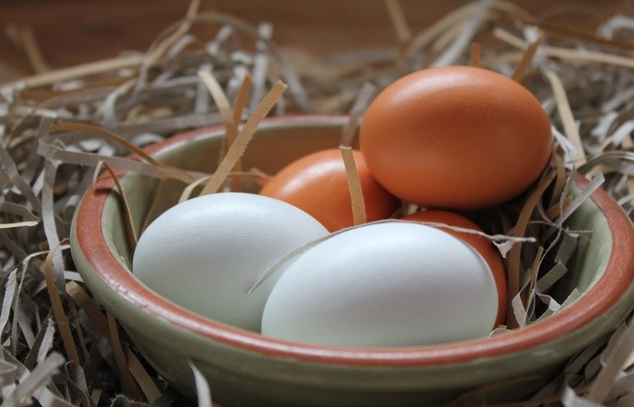 Отличие белых яиц от коричневых