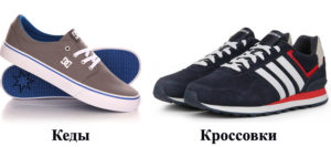 Разница между кедами и кроссовками