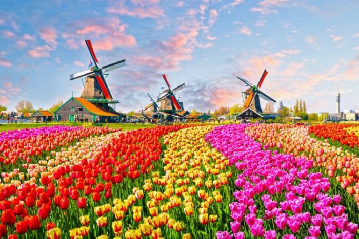 Разница между голландией и нидерландами