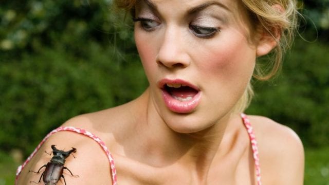 Инсектофобия – страх насекомых – причины и лечение.