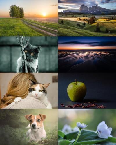 Wallpapers Mix №841