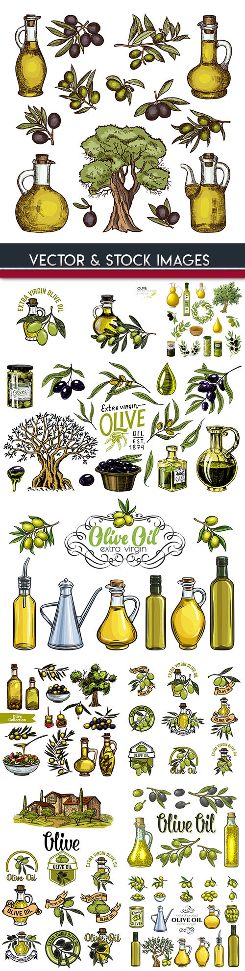 Olive oil and branch and olive sketch illustrations