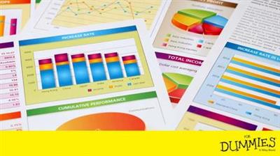 Excel 2013 For Dummies Video Training, Deluxe Edition