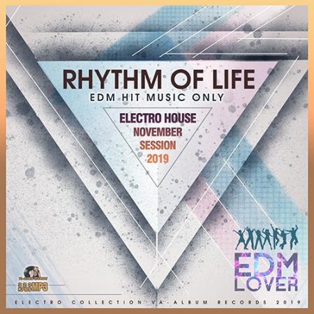 Rhythm Of Life: Electro House Session (2019)