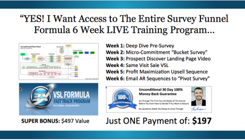 Ryan Levesque and Todd Brown - Survey Funnel Formula (FULL)
