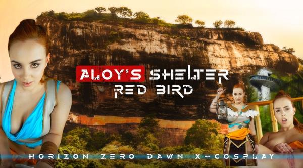 Red Bird - Aloys Shelter (2019/UltraHD 2K)