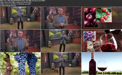 TTC Video - The Instant Sommelier Choosing Your Best Wine [720p]