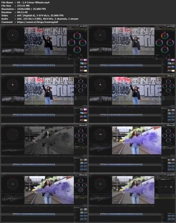 Color Grading from Beginner to Advanced in Final Cut Pro X