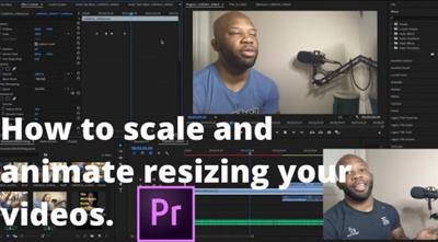 How to scale (resize) and animate the dimensions of your video clips in Adobe Premiere