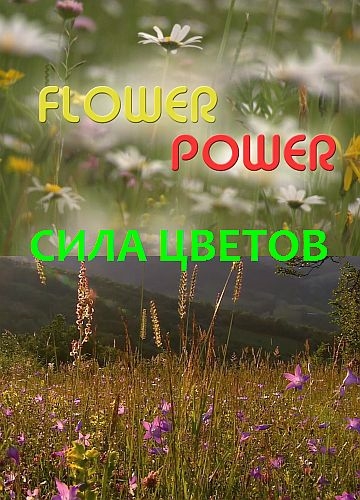   / Flower power (2017) HDTV 1080i | P1
