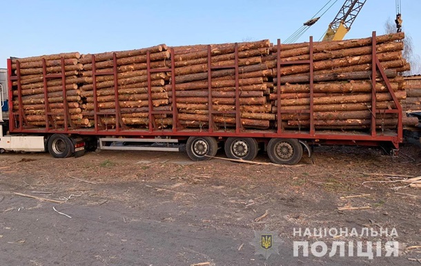 В Житомирской области силовики провели 12 обысков в лесхозах