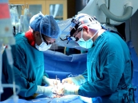 Запуск системи трансплантації хочуть перенести на рік