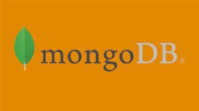 MongoDB for Beginners   Fast track
