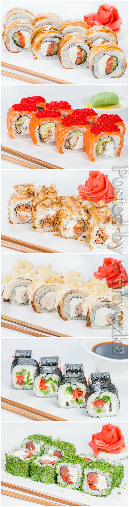Tasty Japanese cuisine sushi rolls