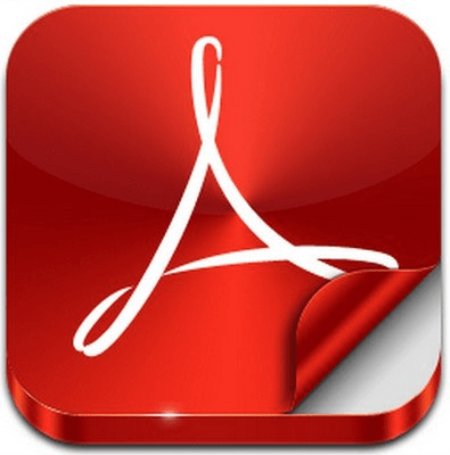 Adobe Acrobat Reader DC 2019.021.20058