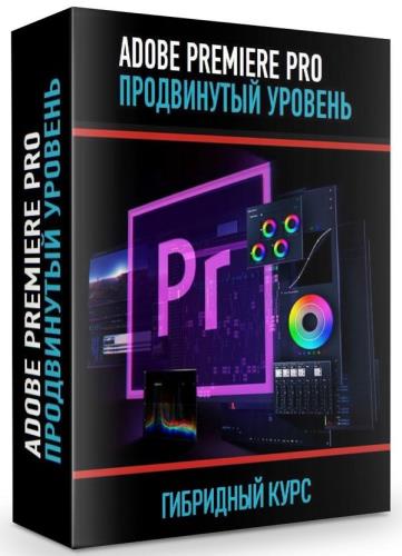 Adobe Premiere Pro. Продвинутый уровень. Гибридный курс (2019) HDRip