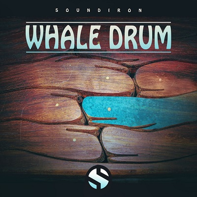 Soundiron Whale Drum v2.0 KONTAKT