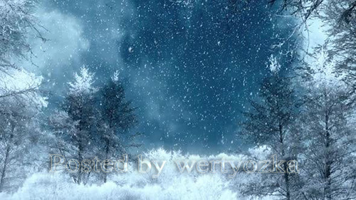 Videohive - Winter Background Loops - 
25300102