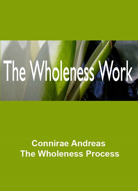 The Wholeness Process Connirae Andreas