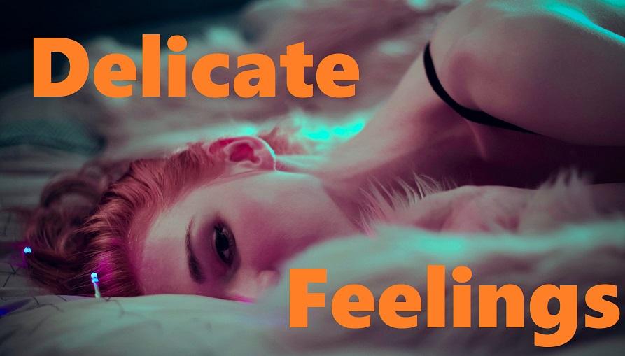 Delicate Feelings Version 0.1 Demo by SinRise