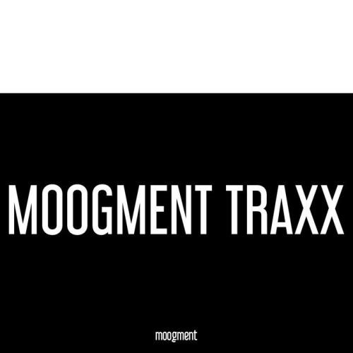 Moogment (Traxx) (2020) MP3