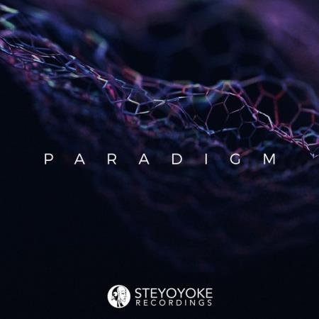 Steyoyoke Paradigm, Vol. 06 (2020) MP3