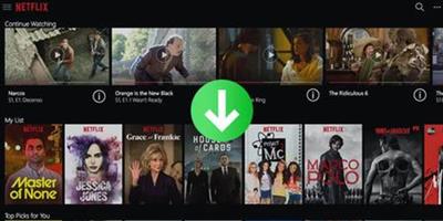 TunePat Netflix Video Downloader 1.1.0 Multilingual