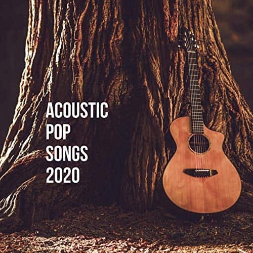 Acoustic Pop Songs 2020 (2020) FLAC
