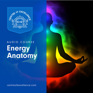 Energy Anatomy by Various Authors (Audiobook)