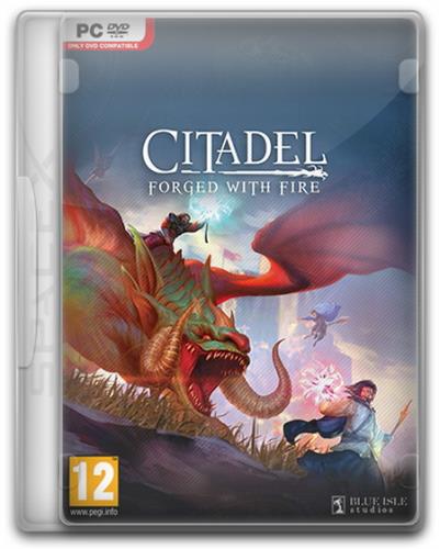 Citadel: Forged with Fire [v 27977] (2019) PC | RePack  SpaceX