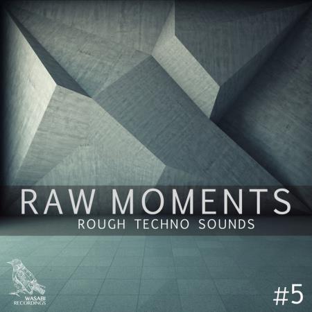 Raw Moments Vol 5 - Rough Techno Sounds (2020) MP3