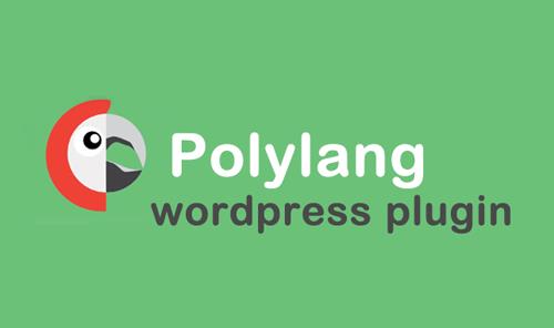 Polylang Pro v2.6.8 / Polylang for WooCommerce v1.2.5 - Adds Multilingual Capability to WordPress
