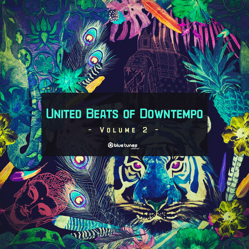 United Beats of Downtempo Vol. 2 (2020)