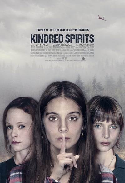 Kindred Spirits 2019 1080p WEBRip x264-RARBG