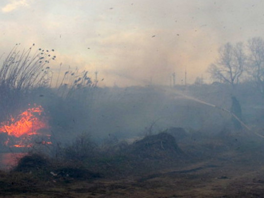 В Одессе спасатели дерутся с масштабным пожаром: пламя бушует на 4 гектарах(фото)