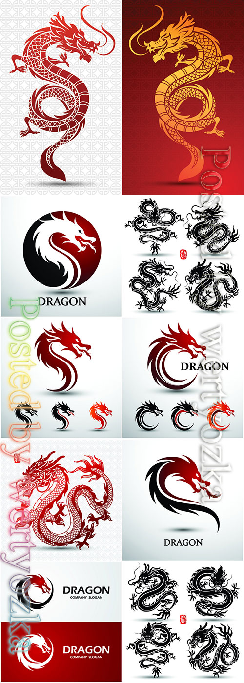 Dragon logo collection vector illustration