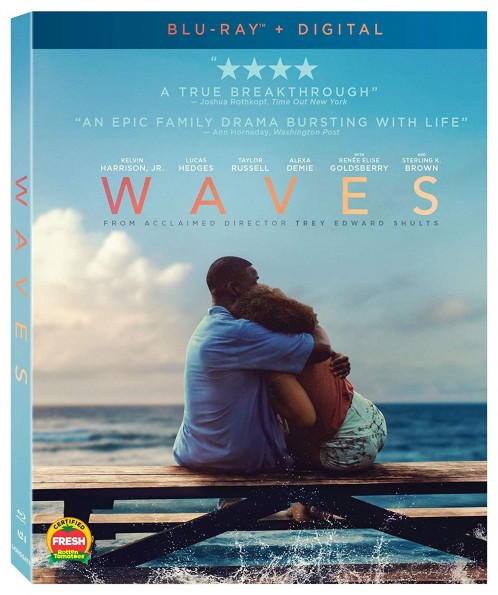 Waves 2019 1080p BluRay x264 AAC5 1-YTS
