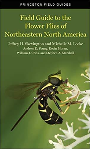 Field Guide to the Flower Flies of Northeastern North America (Princeton Field Guides)