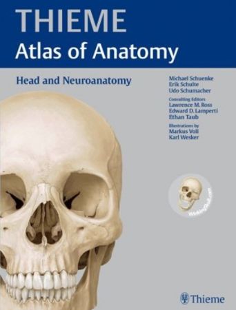 Head and Neuroanatomy (EPUB)