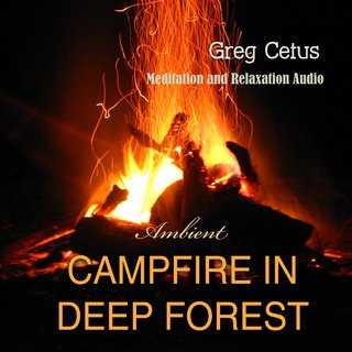 Campfire In Deep Forest: Meditation and Relaxation Audio (Audiobook)