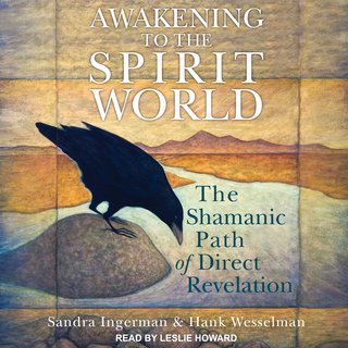 Awakening to the Spirit World: The Shamanic Path of Direct Revelation (Audiobook)