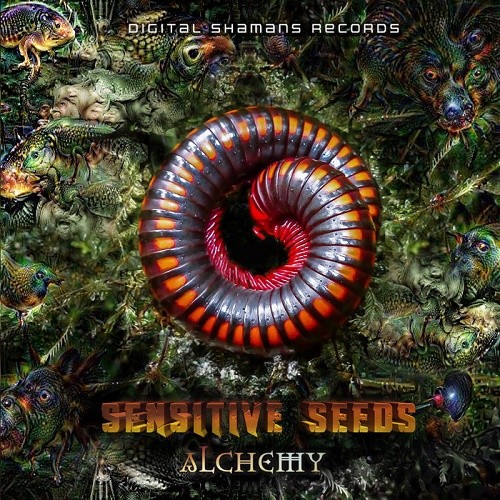 Sensitive Seeds - Alchemy EP (2020)