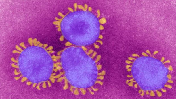 Coronavirus: Could it become pandemic?